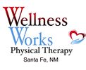 wellnessworksphysicaltherapy.com